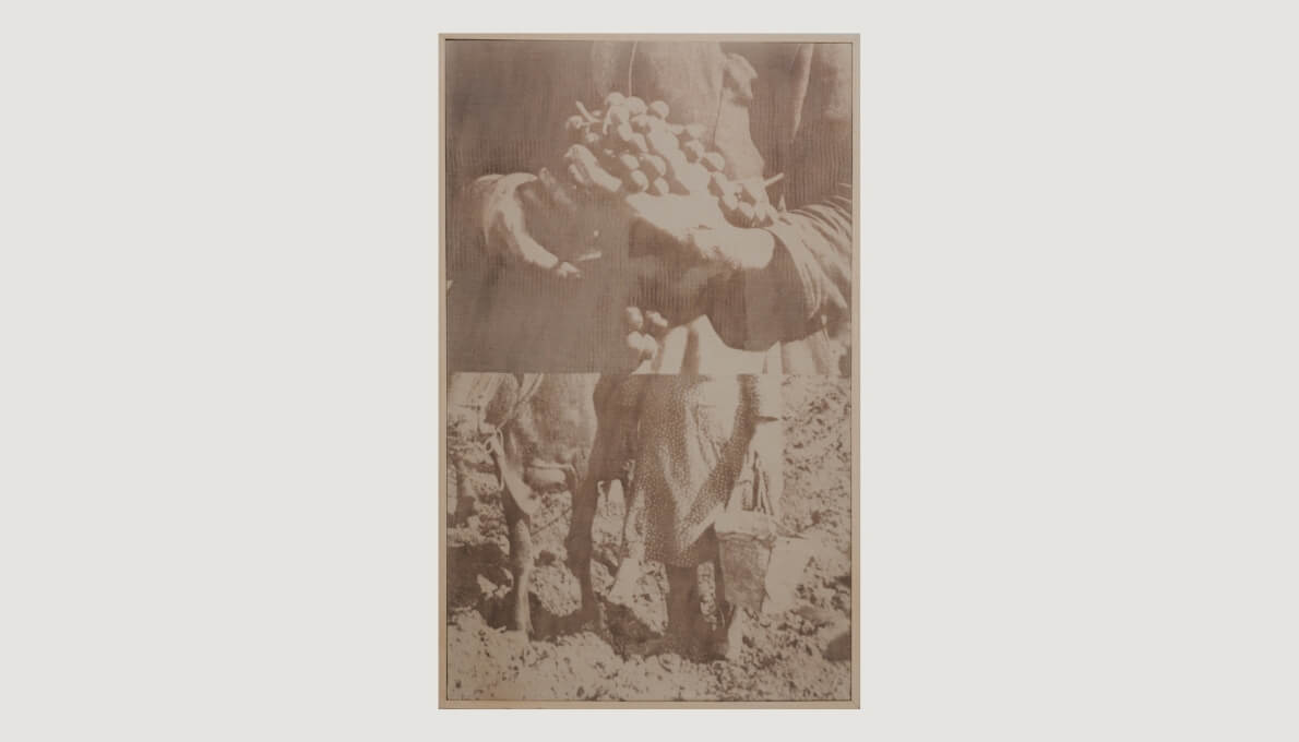 Unearthed (plan b)